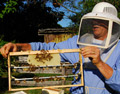 Leigh Walton holds frame of Prince Georges County Queen Cells